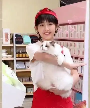 原创张子枫近照再现初恋脸抱布偶猫宠溺十足穿白t恤毛呢裙好甜