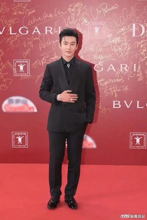 黄晓明金爵奖影帝