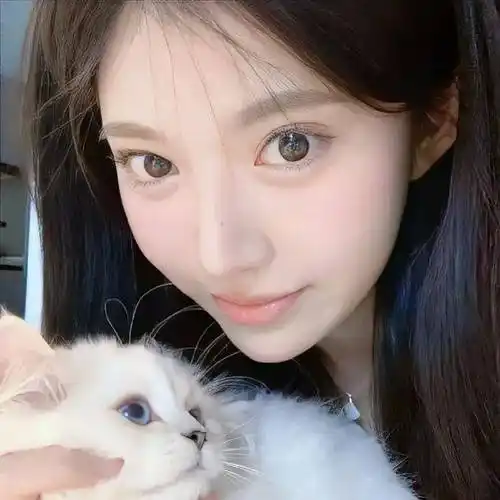 头像 | 用这种头像的都是大美女