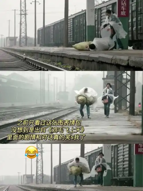 因为一张表情包看了整部剧鸡毛飞上天
