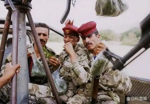 一棵草毁掉一个国家也门人无法抗拒的恰特草到底有什么来头