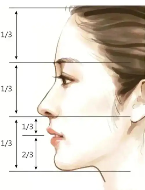 三庭五眼测试 不服不行#标准侧脸  #侧颜