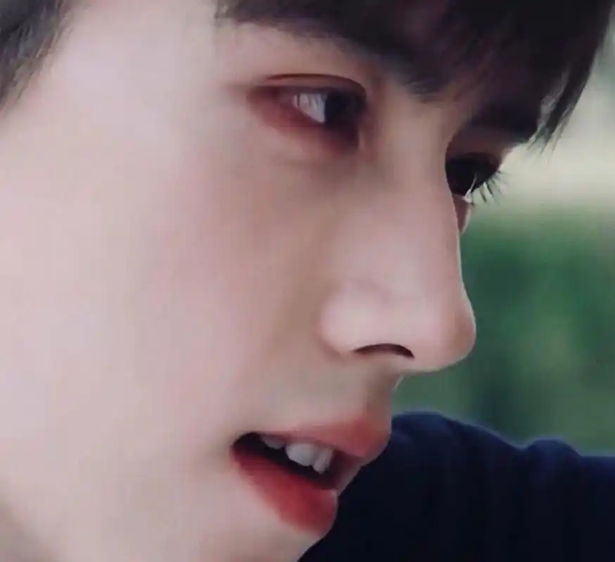 陈飞宇鼻子竟然也有驼峰,不得不感叹.原来长的美的人,都是相似的!