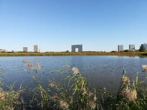 武清商务区中心公园,美景让人留恋.