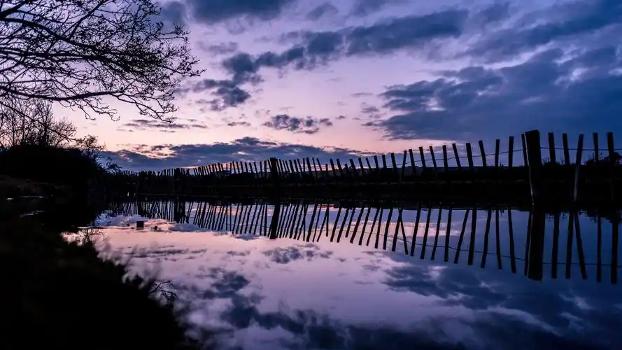 3840x2160 uhd 4k极清河,树,树枝,夜 壁纸, 图片