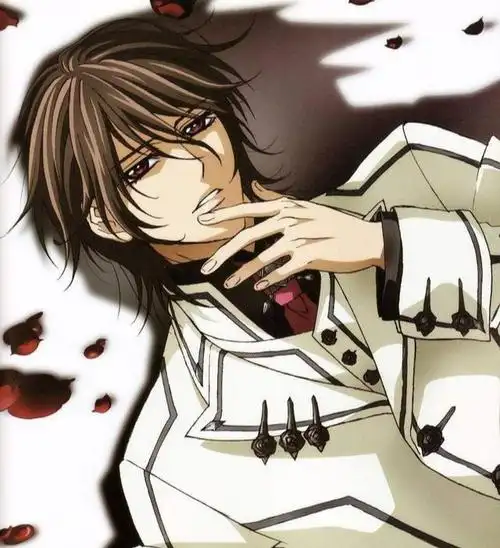 十大最帅动漫男神 , 动漫十大帅气男主