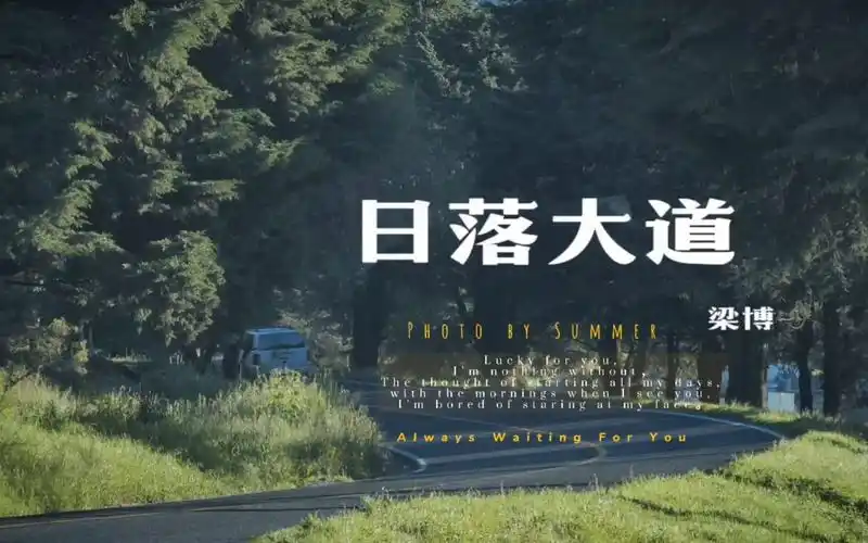 梁博 | 《日落大道》