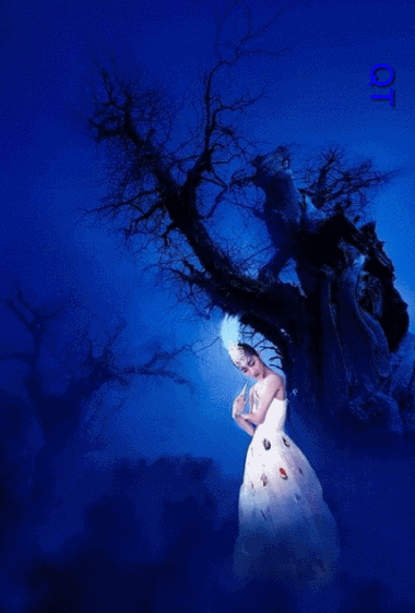 制作动态 - 堆糖,美图壁纸兴趣社区