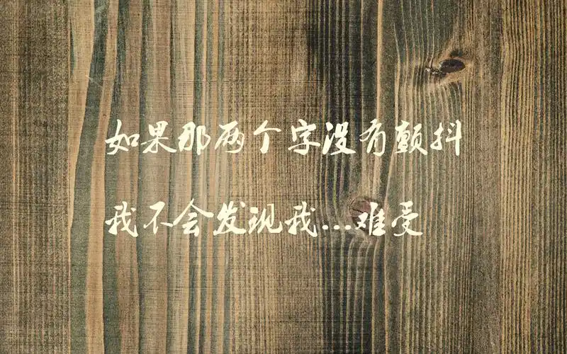 文字控唯美歌词创意图片桌面壁纸