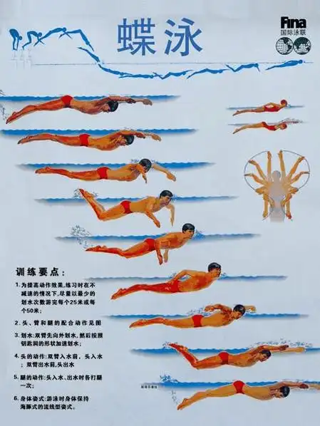 游泳有几种姿势——1,自由泳:通常采用爬泳姿势进行游动,是两臂交替