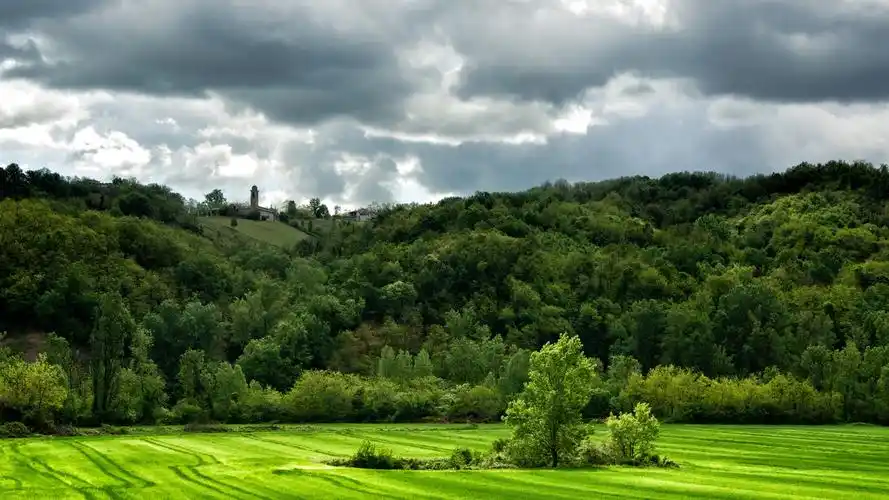 绿色养眼护眼风景桌面壁纸