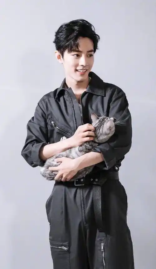 东方的态度,让人想起了美图秀秀的跪滑,转了肖战的"北京"元素加油的