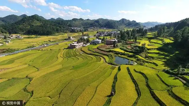 高空无人机俯瞰贵州省布依族苗族自治州贵定县云雾镇鸟王苗族村田野.