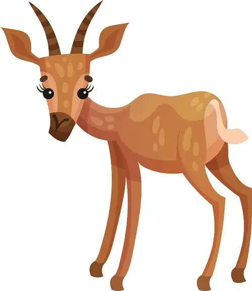 非洲有角的瞪羚或羚羊图片