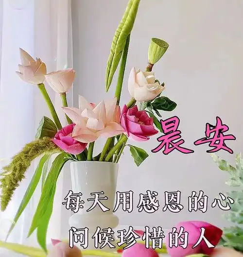 晚上好图片图片大全晚上好问候祝福语晚安