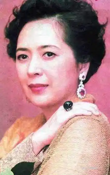 大刘人生赢家啊,他原配宝咏琴长得和曾华倩一模一样,好叫掼现在的甘比