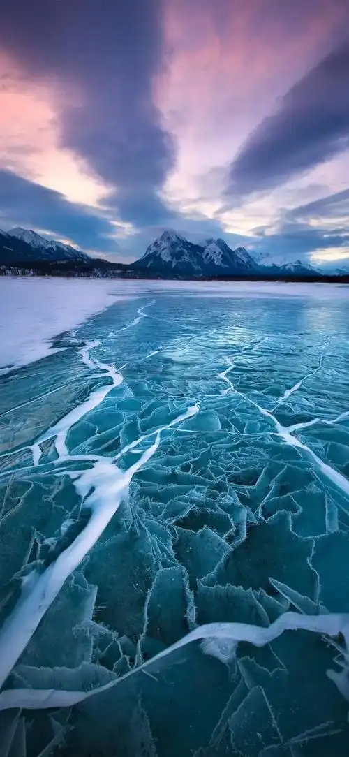 壁纸分享别让忧虑遮挡住阳光让快乐成为你生活的底色