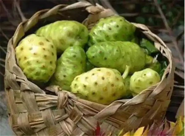 41种不常见的罕见水果图片和名字_果实