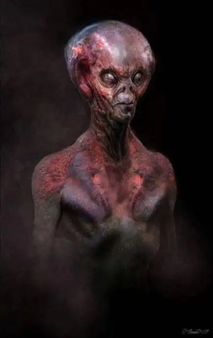 有谁见过外星人,长什么样子?