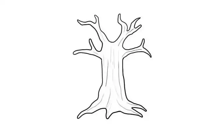 树干的简笔画法