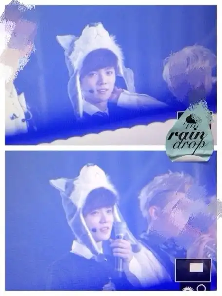 歌手鹿晗##鹿晗