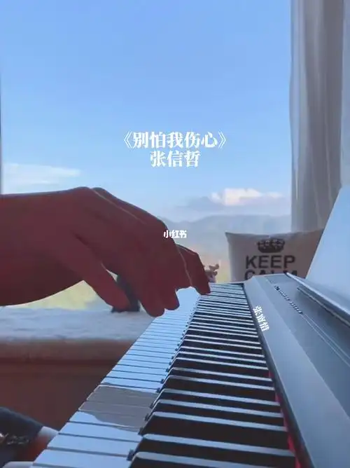 张信哲别怕我伤心