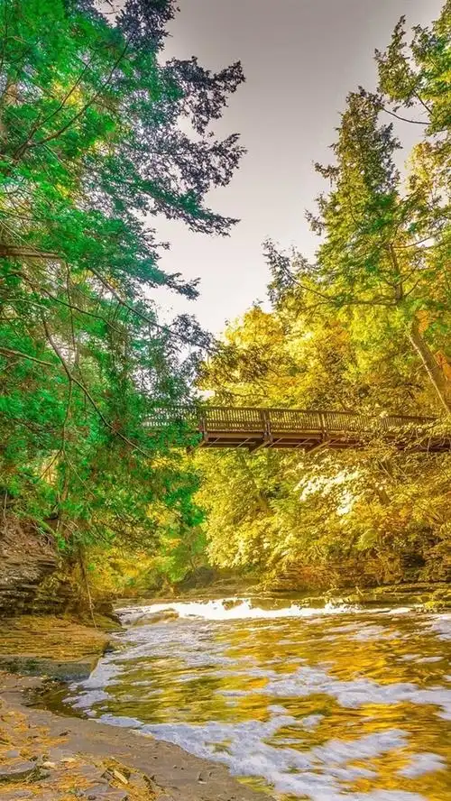 秋天,河,桥,树,自然风光 iphone 壁纸