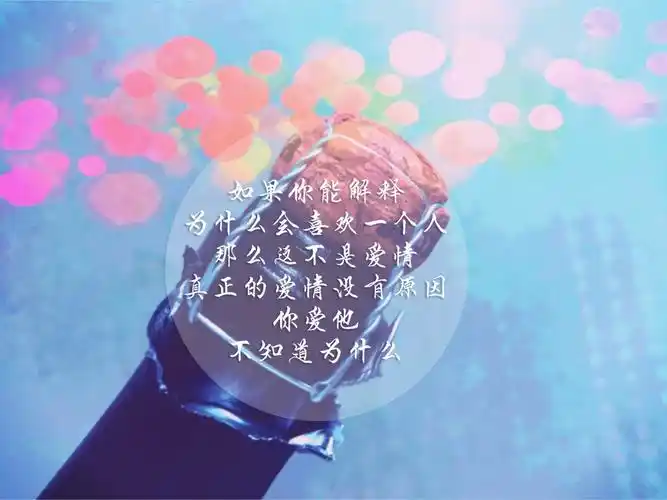 与爱情有关的文字图片