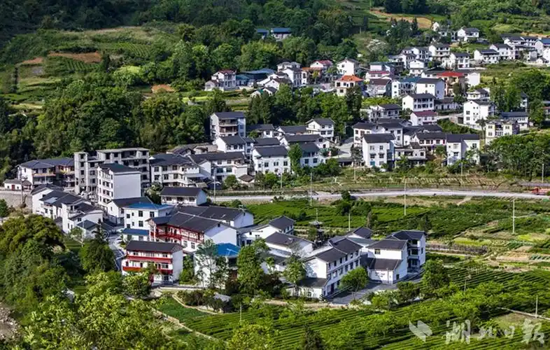 【热点关注】恩施市白杨坪镇麂子渡:村美宜居产业兴_云上南漳