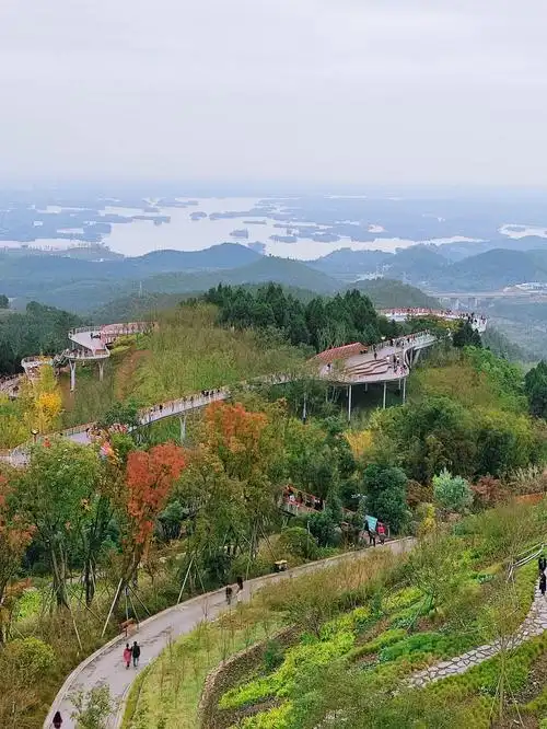 游龙泉山森林公园