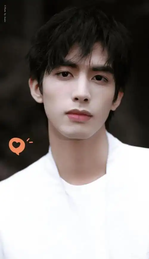 都有宋威龙的位置,排名靠前,宋威龙的五官太具有东方美男特质了,浓颜