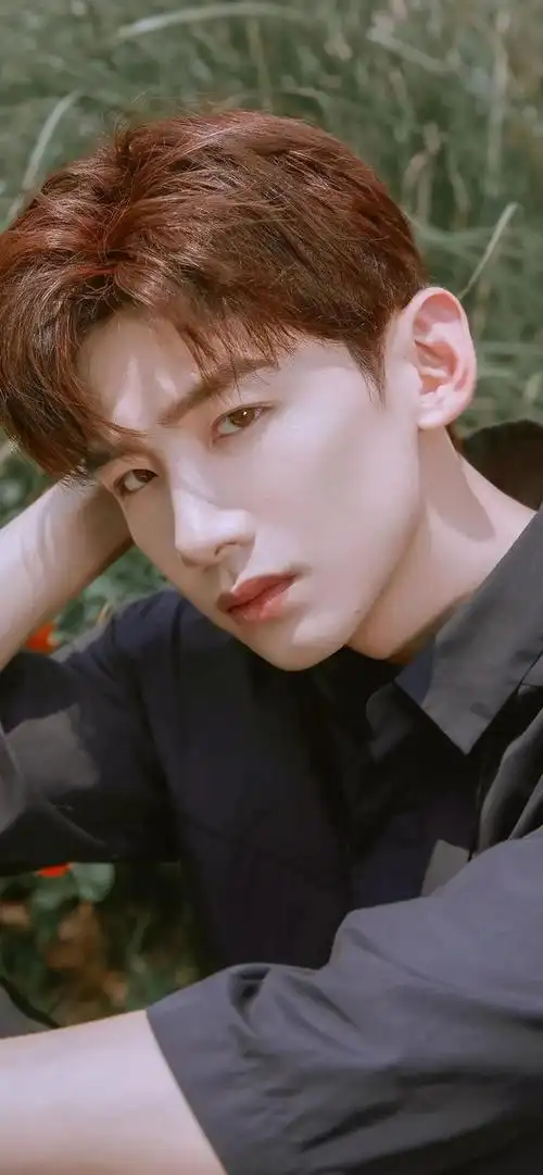 明星壁纸图片集|白敬亭高清壁纸照片