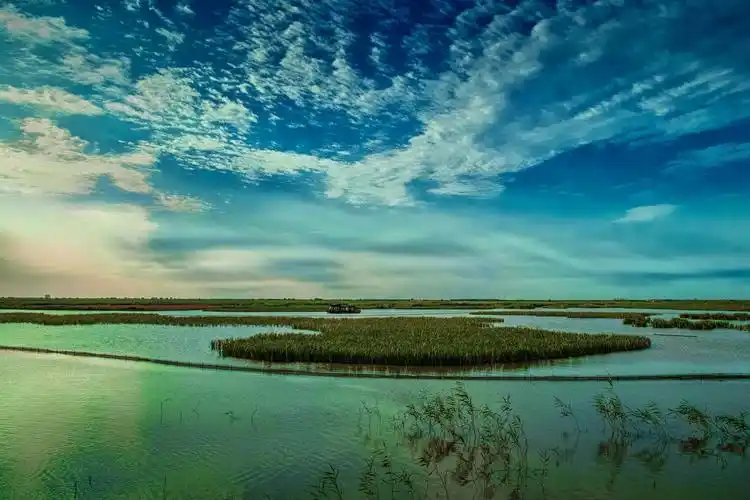 七里海湿地风光