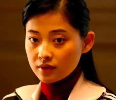 所以,叶大鹰果断选择梅婷来出演《血色童心》的女一号.