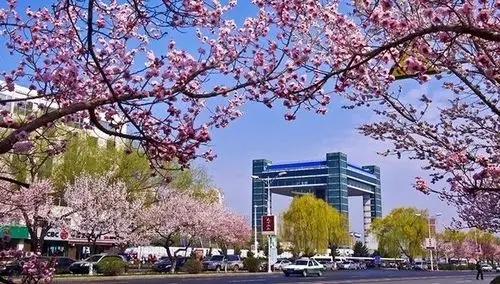 吉林最美28市评选春天来了你的家乡早已美翻啦