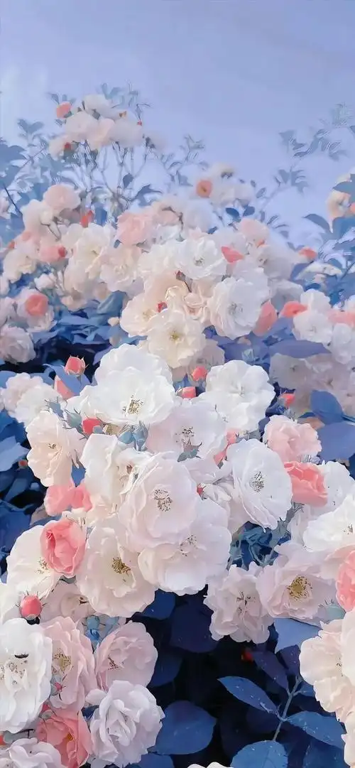 壁纸分享,喜乐于山间的风,温柔于清晨的花