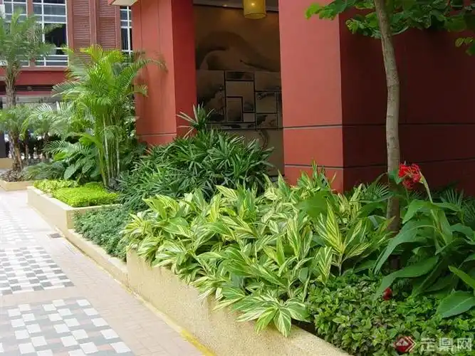 80张住宅景观实景图-花池种植池-设计师图库