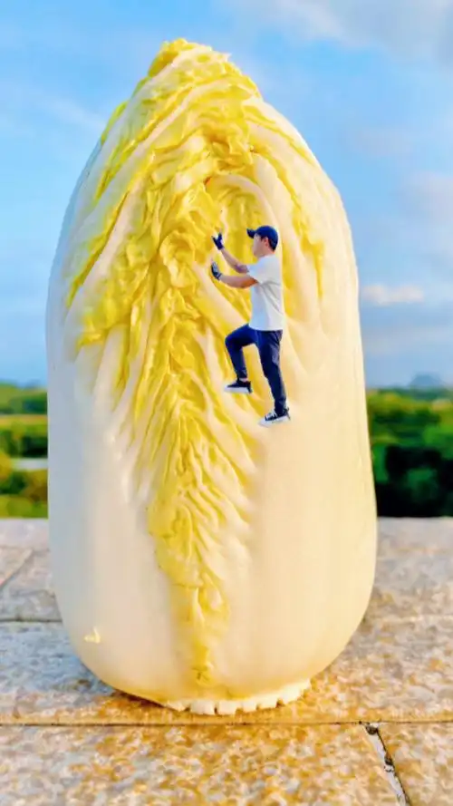 大白菜炒肉前,先拿来拍张好玩有趣的创意照片吧