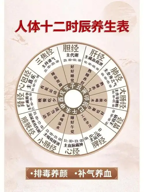 十二时辰养生丨养成正确习惯70