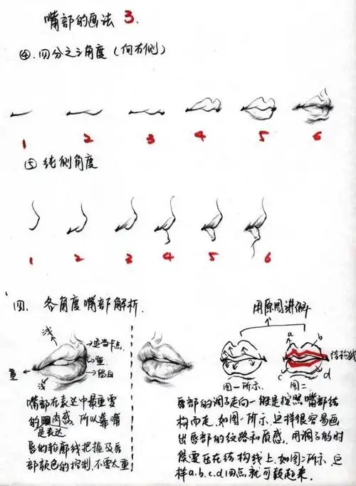 速写人物五官画法分步骤讲解适合零基础美术学习