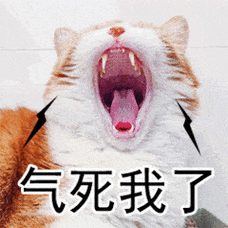 丧猫大嘴巴气死我了gif动图_动态图_表情包下载_soogif