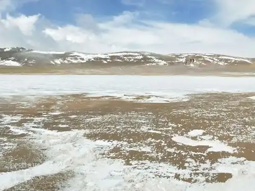 可可西里无人区