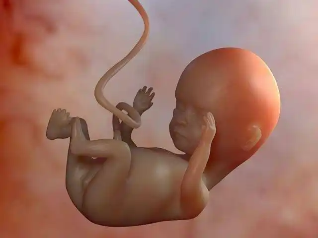 胎宝宝打嗝(孕期胎宝宝为何会打嗝)(图3)