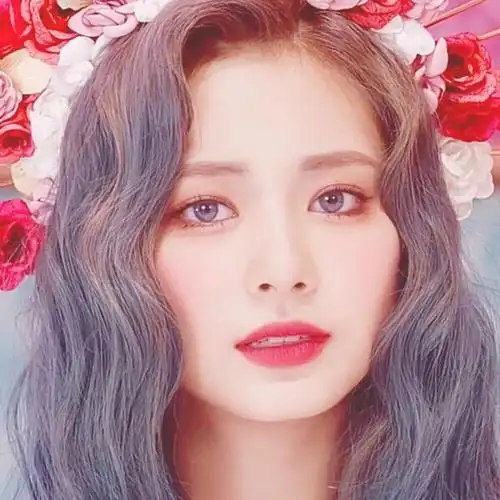 twice 周子瑜头像 自修禁二改 拿图看简介二传注明倾颜