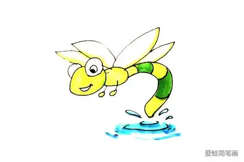 蜻蜓点水怎么画