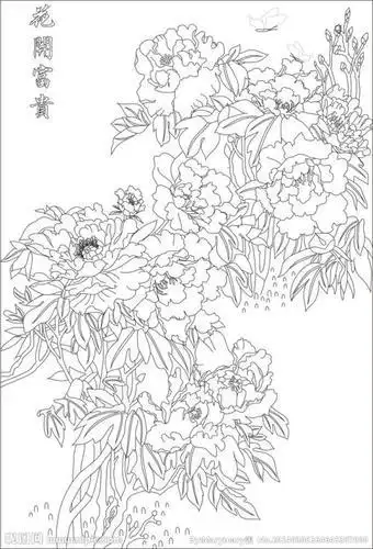 富贵牡丹花简笔画图片牡丹图素描简笔画花开富贵简笔画大图花开富贵