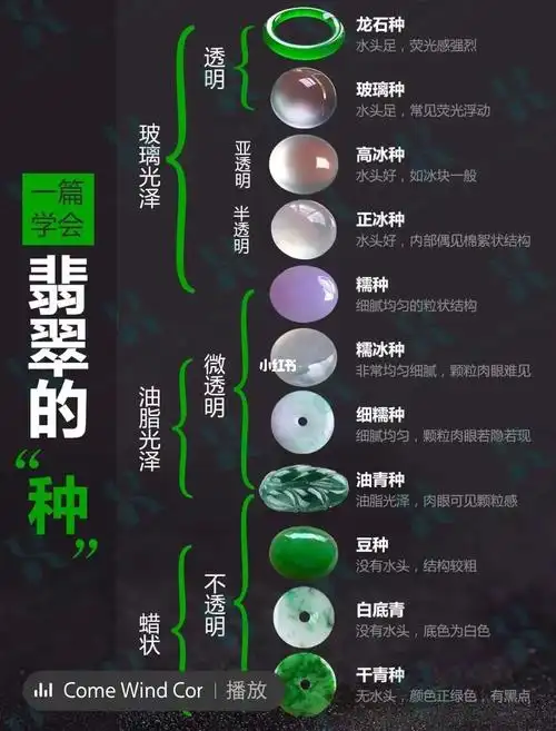 一张图教你认清翡翠的种辨别翡翠好坏