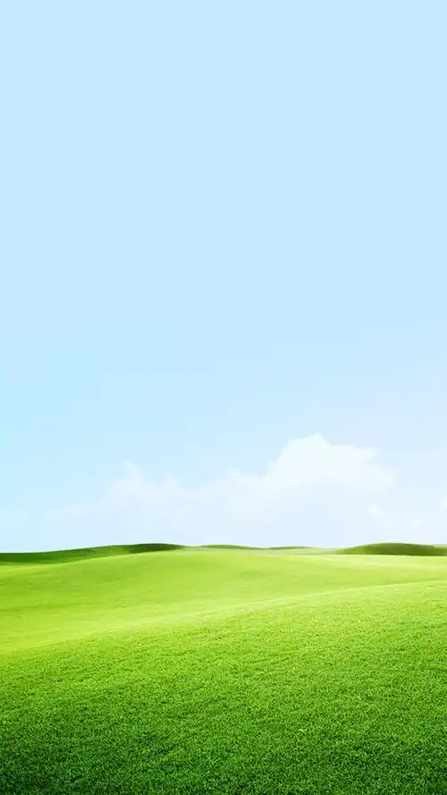 绿色环保清新户外草地h5背景素材