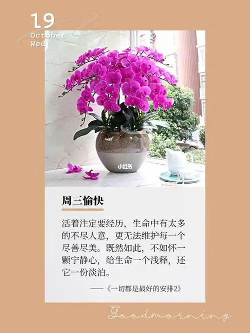 周三愉快 | 日签 | 朋友圈文案96治愈书摘