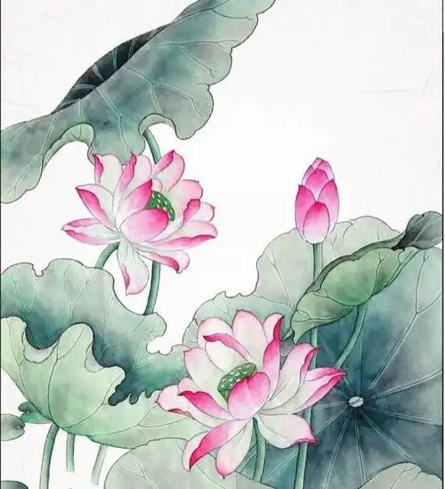 初学者工笔画入门图片(图29)